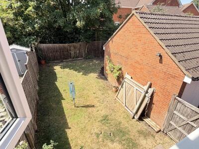 Picture 20